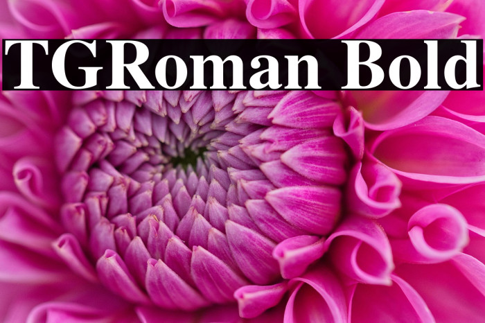TGRoman Bold Example 2