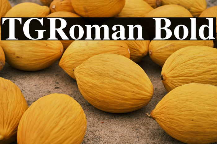 TGRoman Bold Example 3