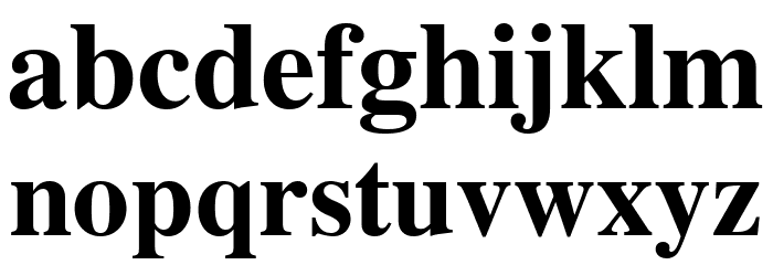 TGRoman Bold Font LOWERCASE