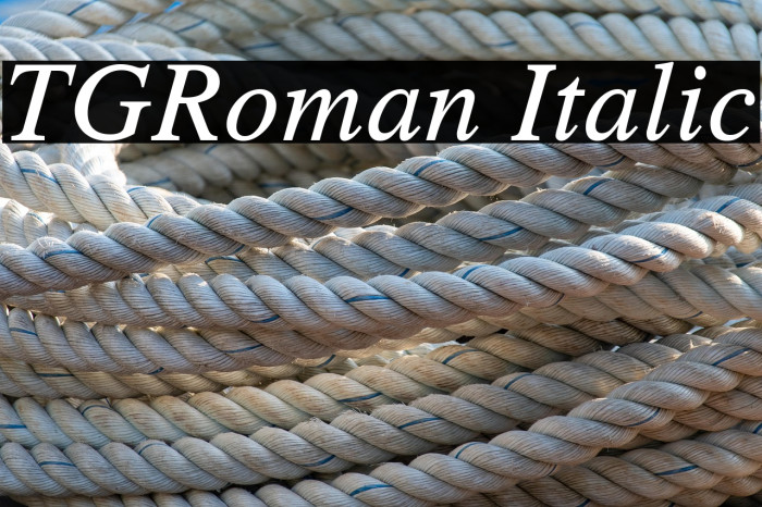 TGRoman Italic Example 1