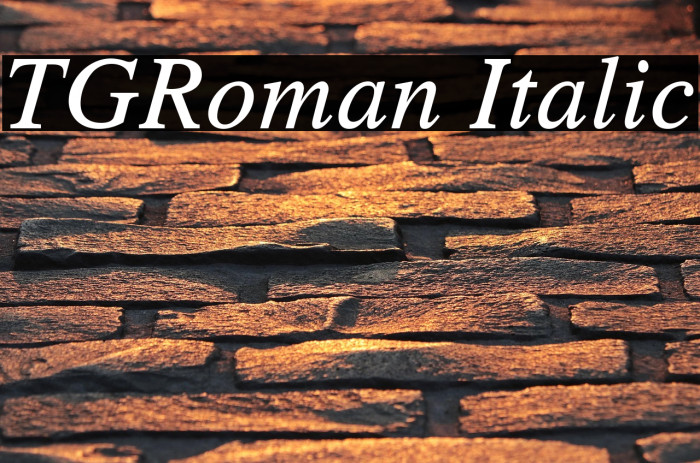 TGRoman Italic Example 2