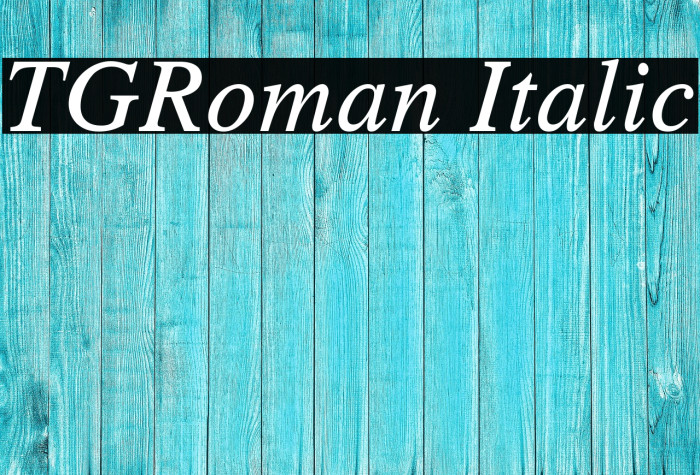 TGRoman Italic Example 3