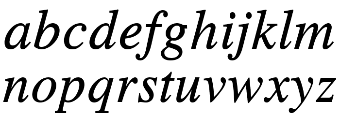 TGRoman Italic Font LOWERCASE