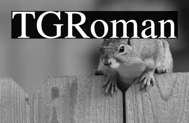 TGRoman Font examples