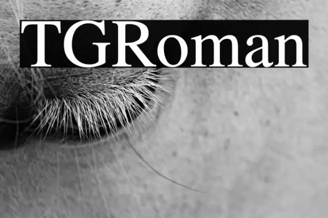 TGRoman Font examples