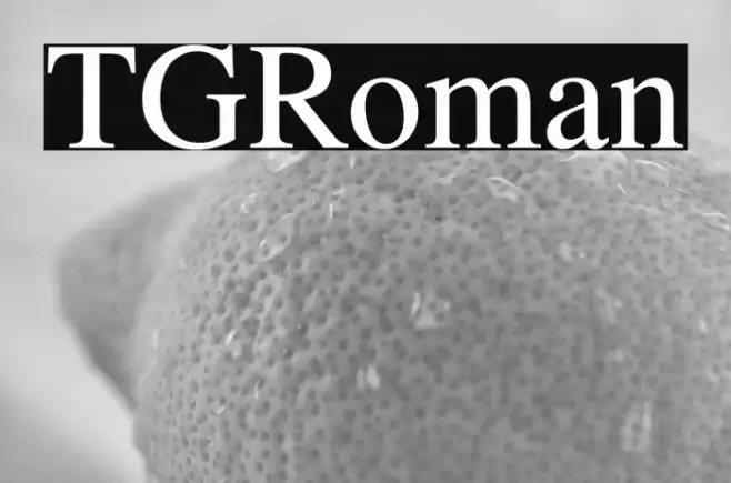 TGRoman Font examples