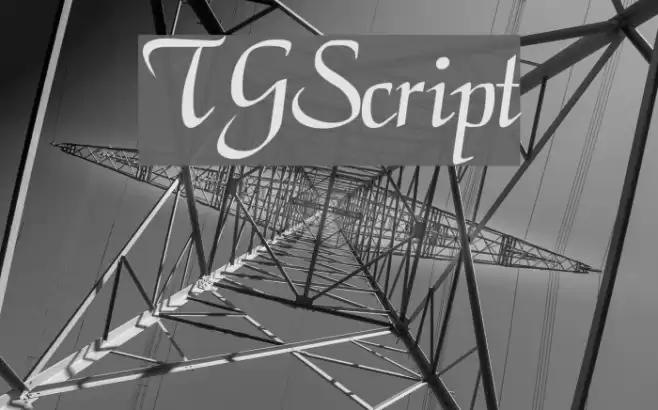TGScript Polices examples