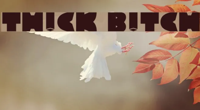 TH!CK B!TCH Example 1