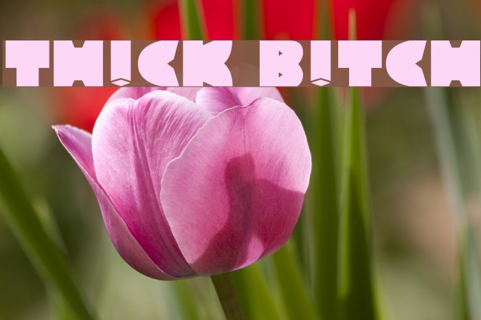 TH!CK B!TCH Font examples