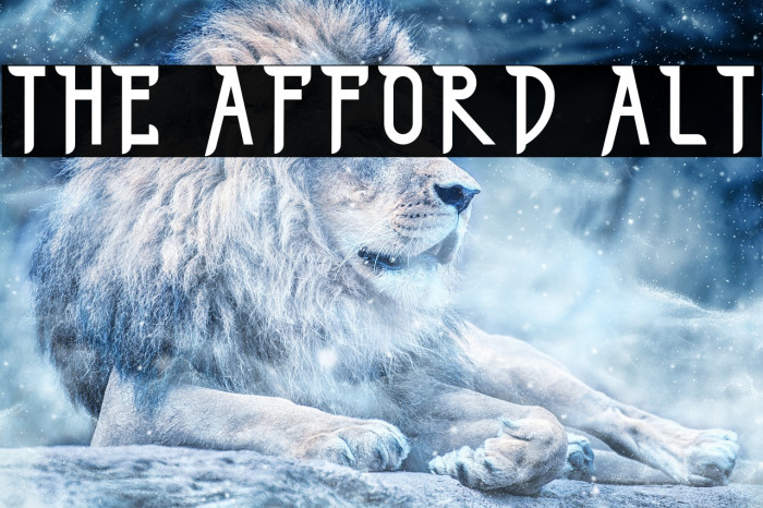 THE AFFORD ALT Example 3