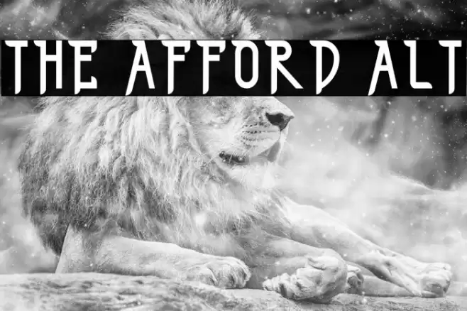 THE AFFORD ALT Font examples