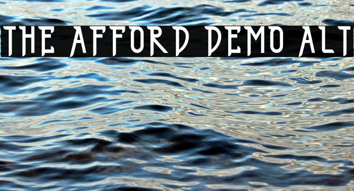 THE AFFORD DEMO ALT Example 2