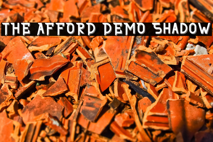 THE AFFORD DEMO Shadow Example 1