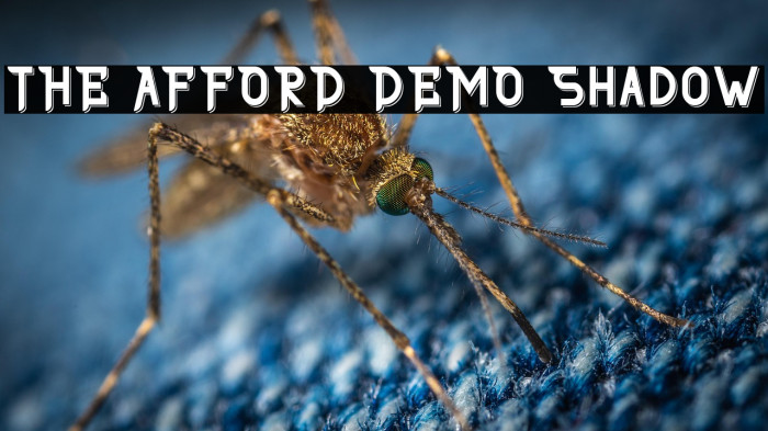 THE AFFORD DEMO Shadow Example 2