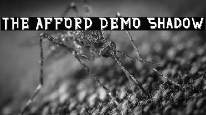 THE AFFORD DEMO Shadow Font examples