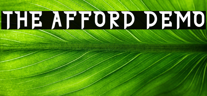 THE AFFORD DEMO Example 3