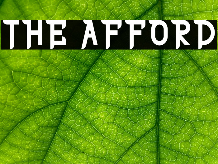 THE AFFORD Example 1