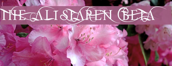 THE ALISTAREN BETA Example 1