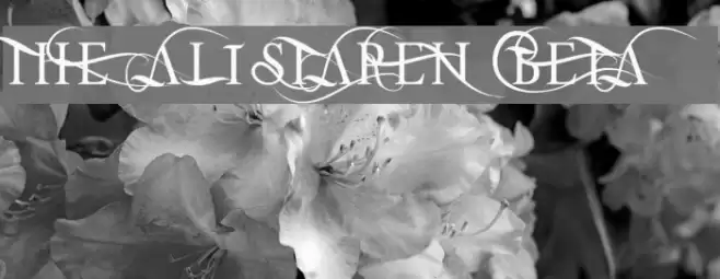 THE ALISTAREN BETA Font examples