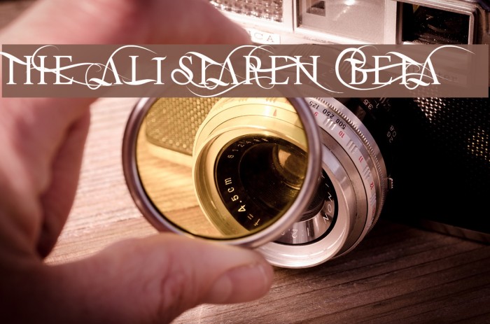 THE ALISTAREN BETA Example 2