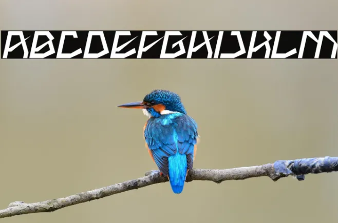 THE AMAZING ME Bold Italic Example 3