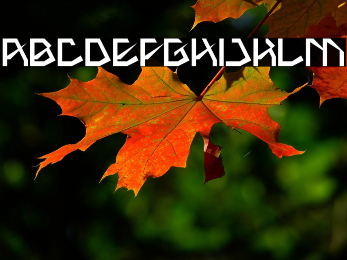 THE AMAZING ME Bold Example 2