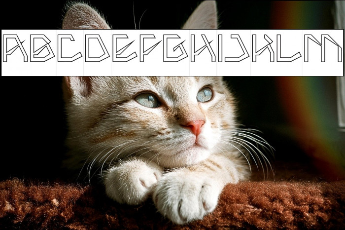 THE AMAZING ME-Hollow-Inverse Example 2