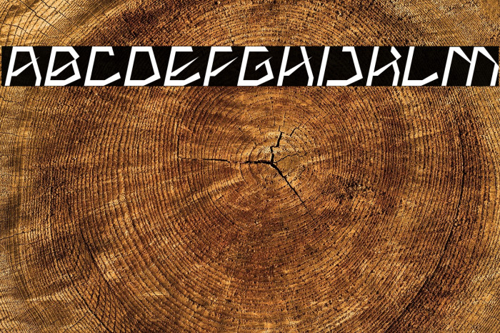 THE AMAZING ME Italic Example 3