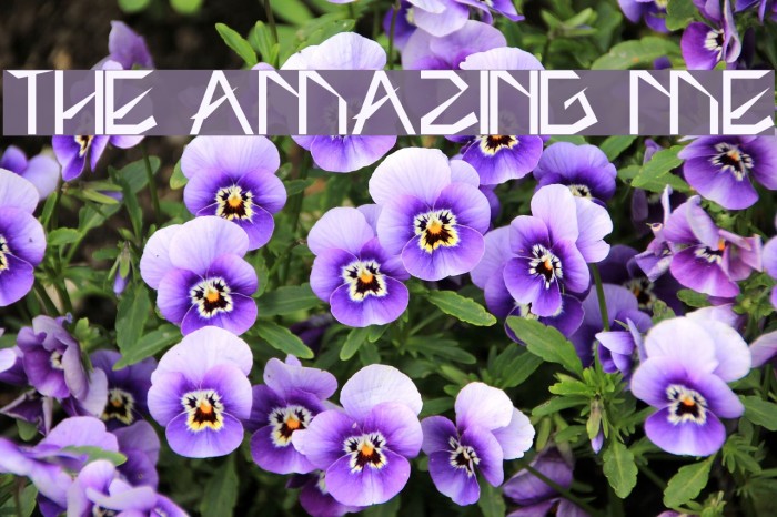 THE AMAZING ME Font examples