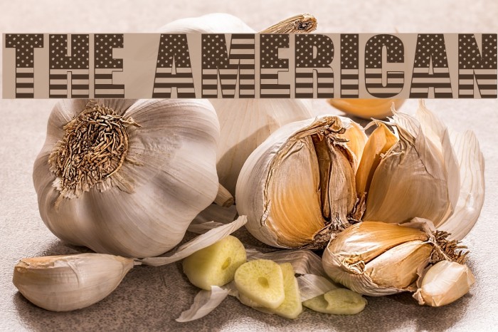 THE AMERICAN Example 3