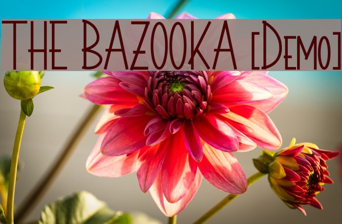 THE BAZOOKA [Demo] Example 1