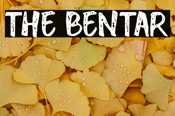 THE BENTAR Example 2