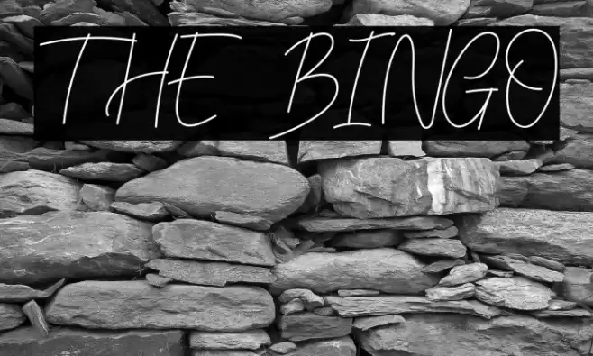 THE BINGO Font examples