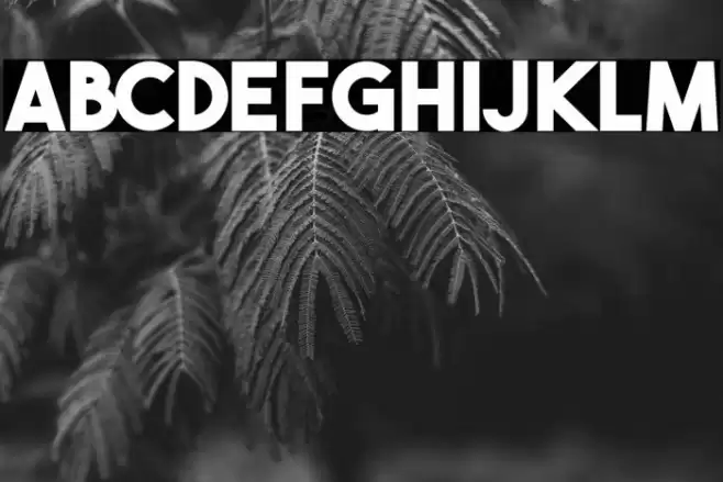 THE BOLD FONT FREE VERSION BOLD Font examples