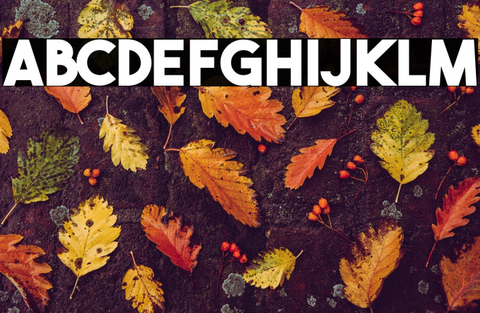 THE BOLD FONT FREE VERSION BOLD Example 3