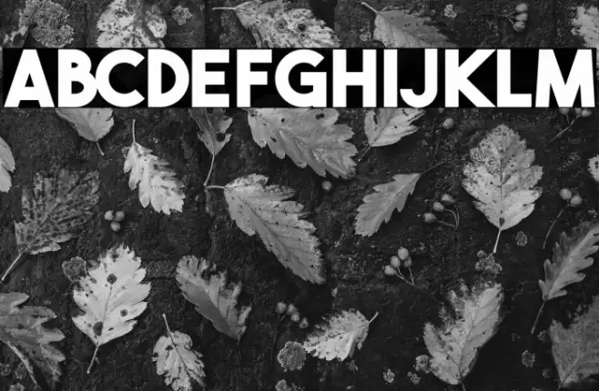 THE BOLD FONT FREE VERSION BOLD Font examples