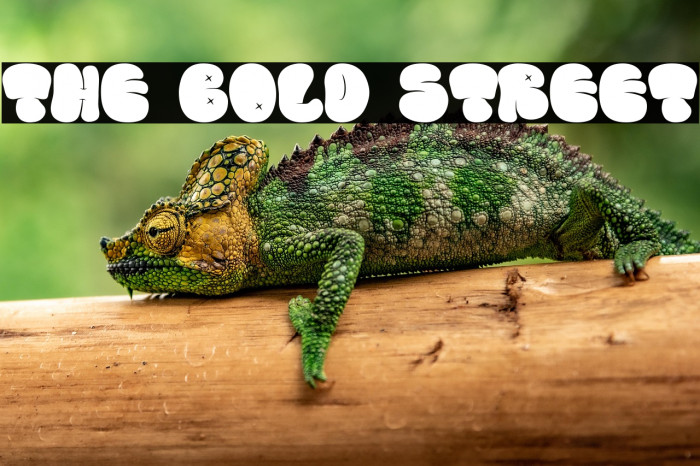 THE BOLD STREET Example 3