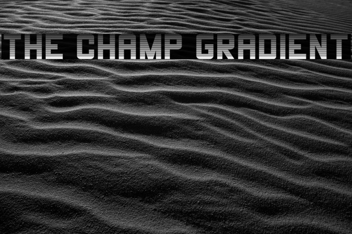 THE CHAMP Gradient Font examples
