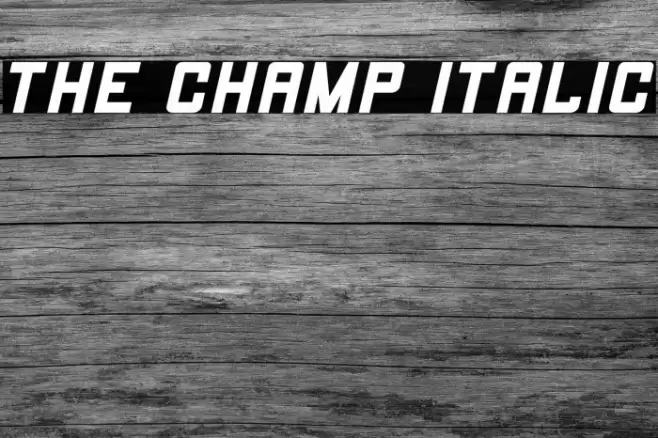 THE CHAMP Italic Font examples