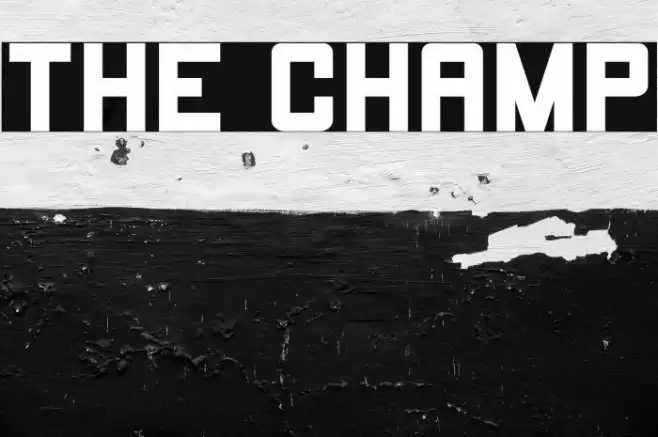 THE CHAMP Font examples