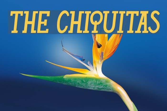 THE CHIQUITAS Fonte examples