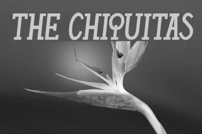 THE CHIQUITAS Font examples