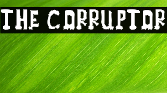 THE CORRUPTOR Example 2