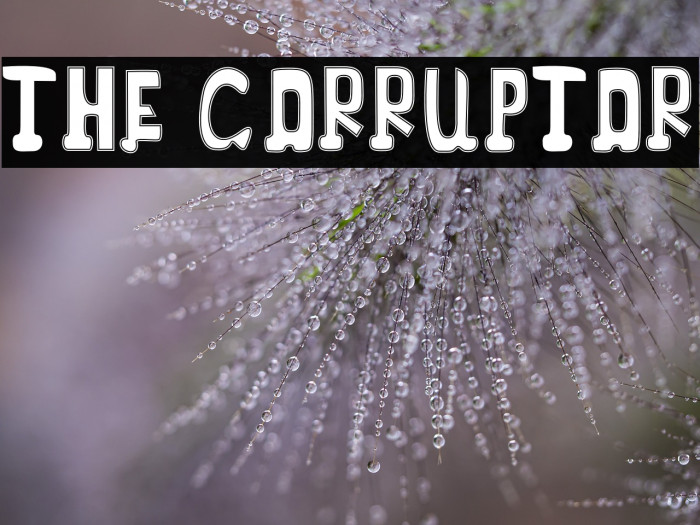 THE CORRUPTOR Example 3