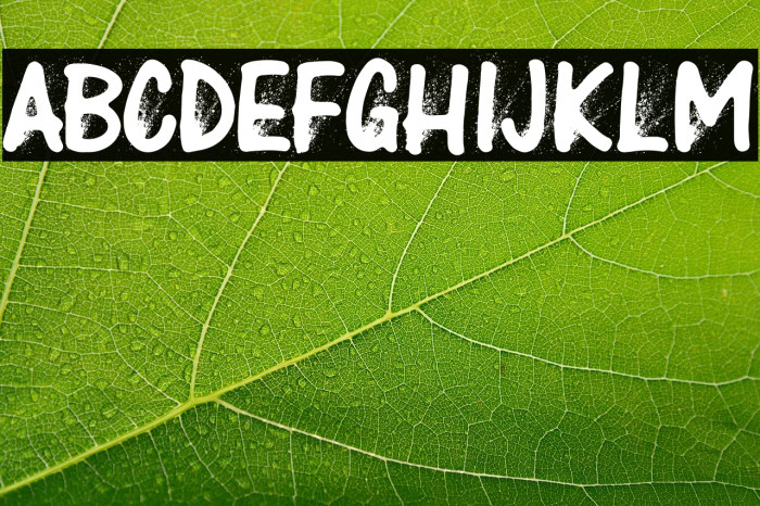 THE CURE Personam Use Regular Example 2