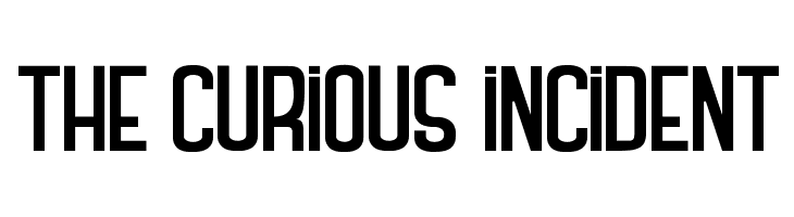 THE CURIOUS INCIDENT Polices