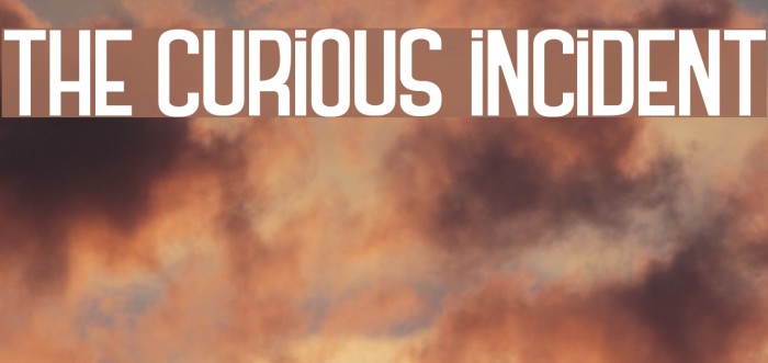 THE CURIOUS INCIDENT Font examples