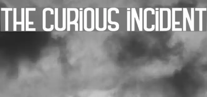 THE CURIOUS INCIDENT Polices examples