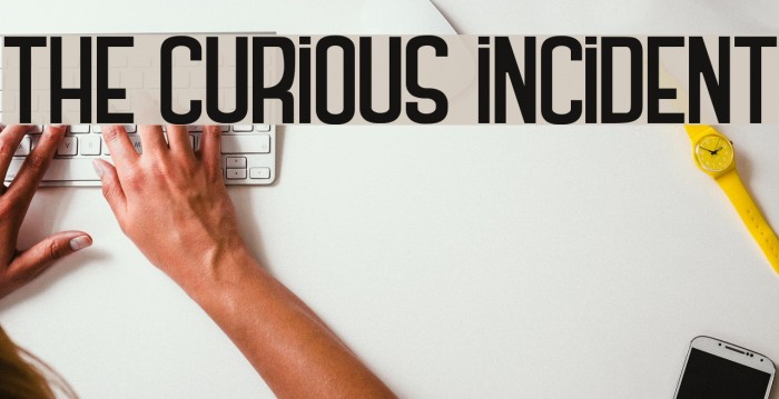 THE CURIOUS INCIDENT Font examples