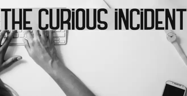 THE CURIOUS INCIDENT Polices examples